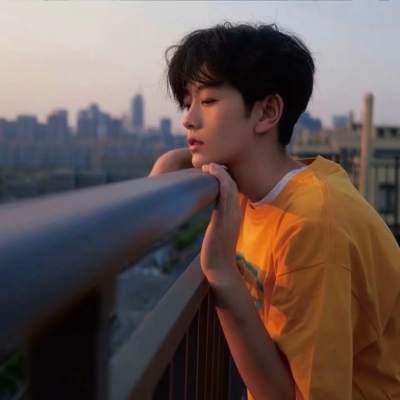 2024年最可爱头像盘点，精选与论述