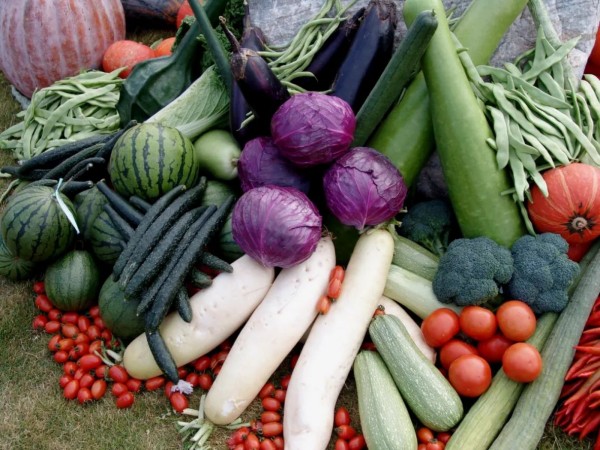 中国最新特色农产品的探析与展示