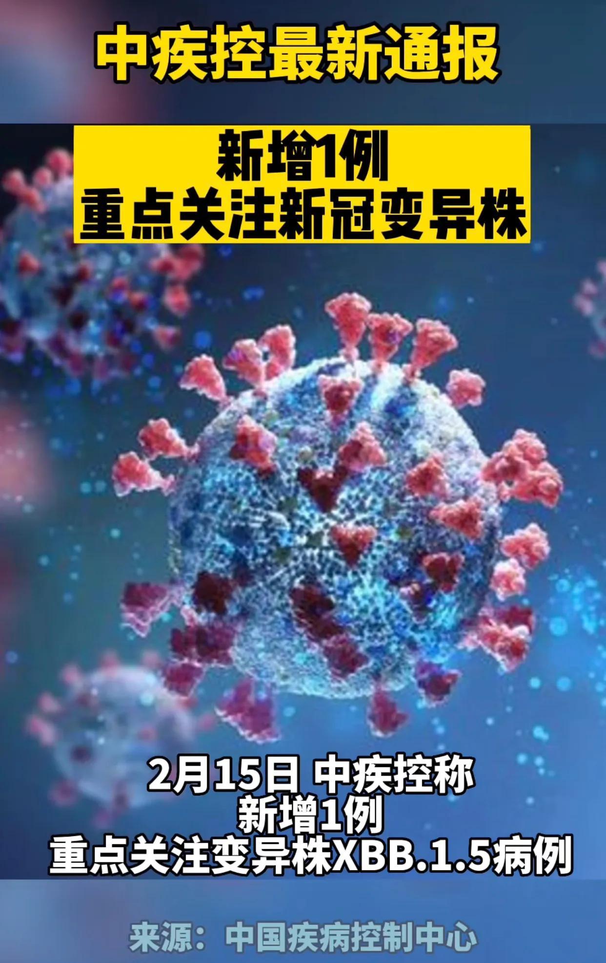 印度新冠疫情下的自然之旅，寻求内心宁静与力量