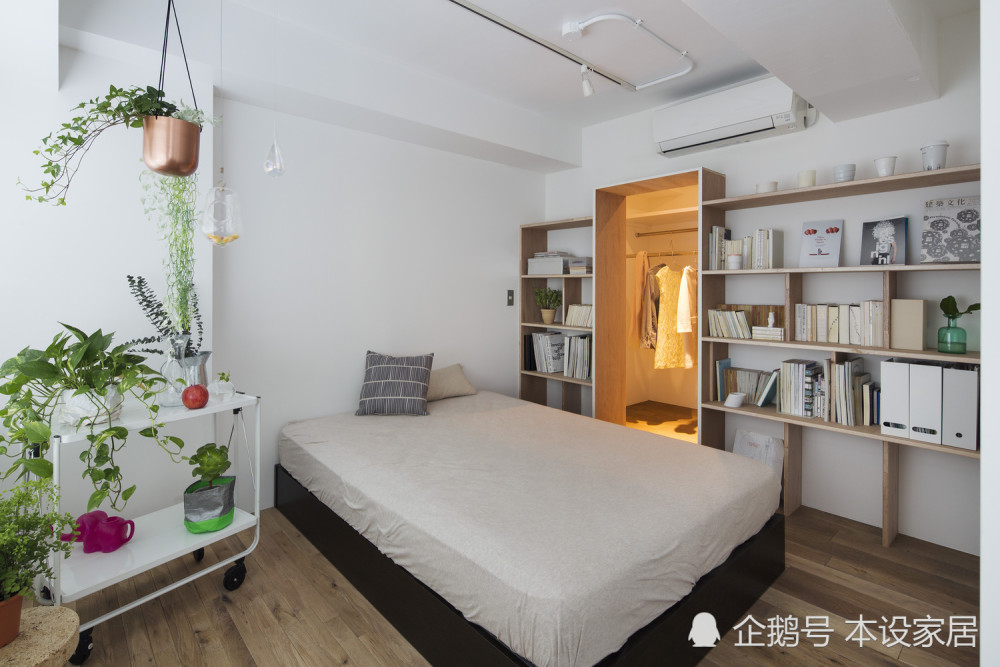 一租公寓最新事件,温馨小窝的奇妙日常揭秘