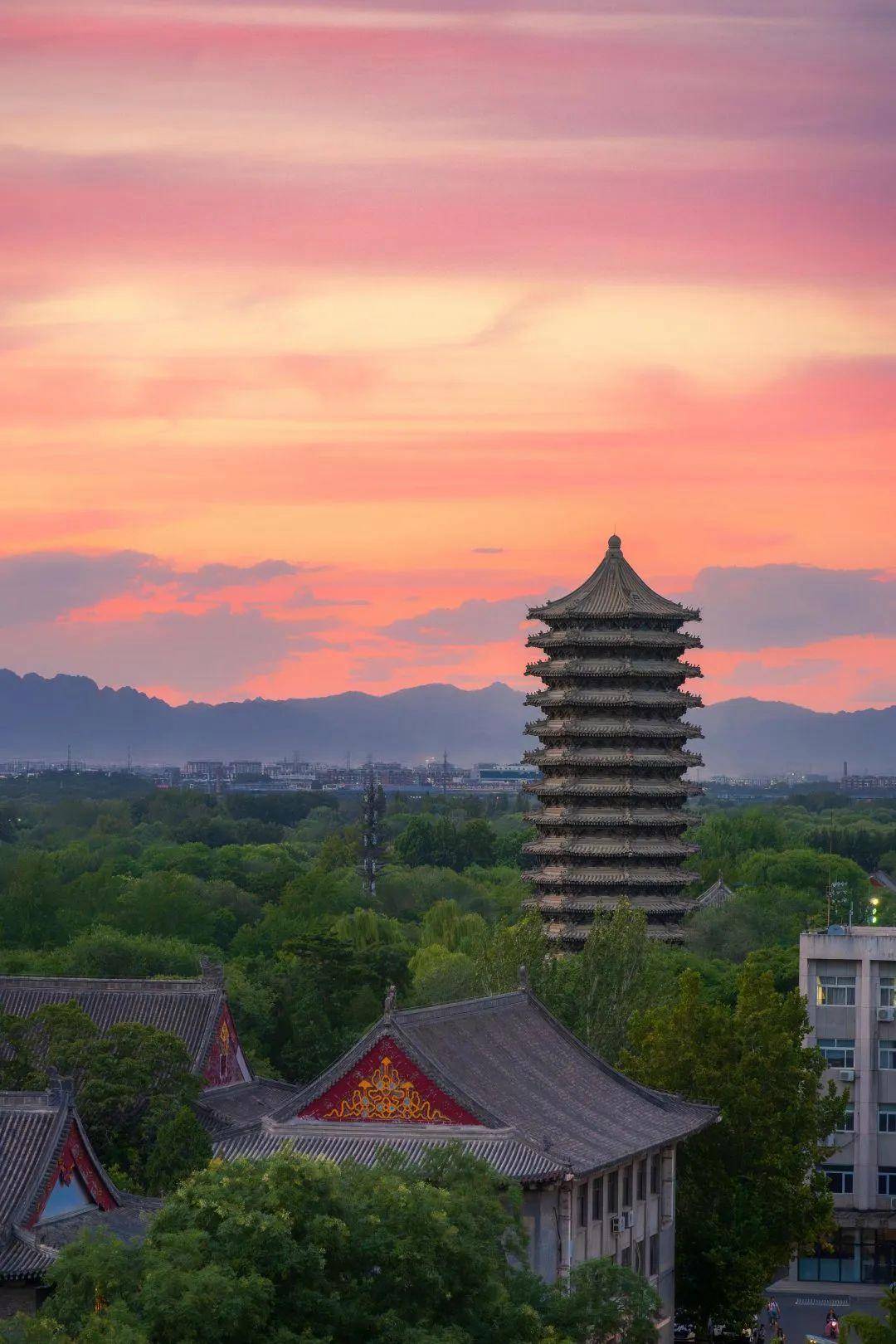 北京大学最新研究，深入探索某观点的探讨与探讨