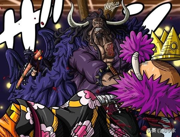 大蛇最新动态，进展观点阐述与分析