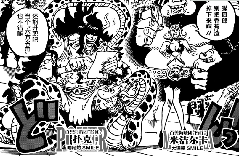 海贼王最新漫画997揭秘，新世界冒险篇章的开启