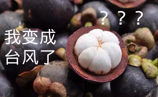 山竹最新路径解析,多方观点与个人立场探讨