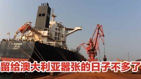 悉尼隔离最新动态，时代印记与影响