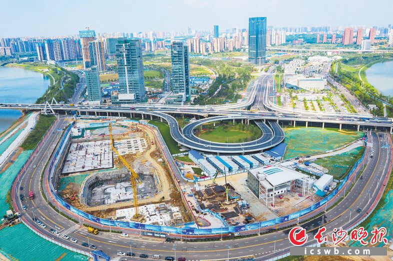 长沙马栏山最新动态,温馨日常趣事揭秘