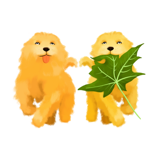 金毛动漫图片，审美价值的深度探讨