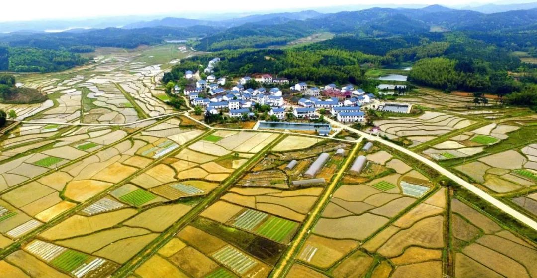 八景镇最新房价信息,科技驱动房产市场,智慧生活新篇章开启