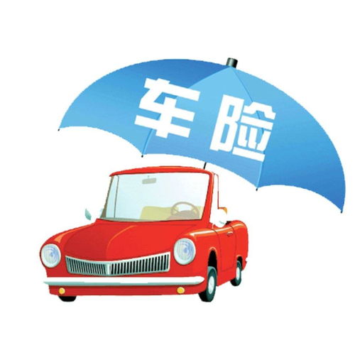 最新车辆保险,驶向保障之路,拥抱变化,自信闪耀的未来之选