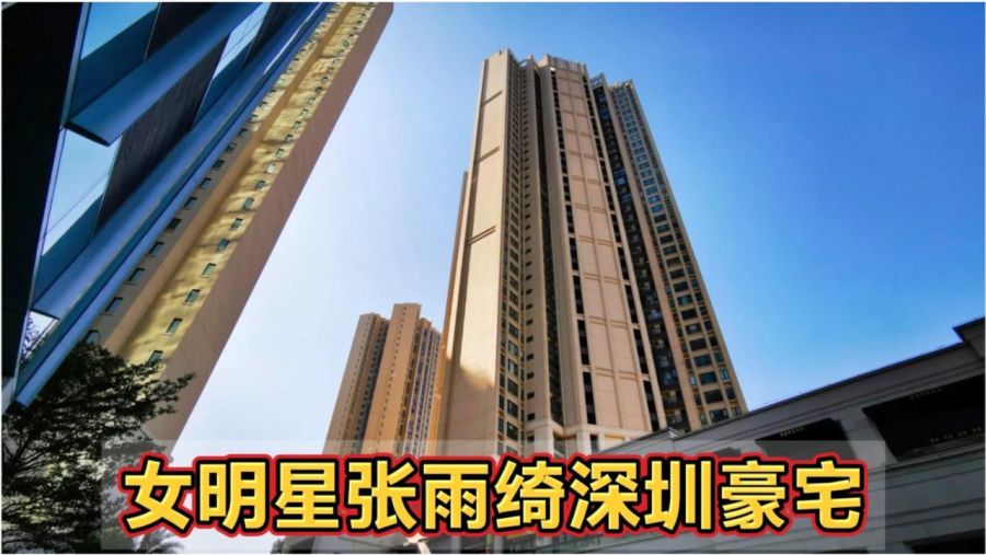 住在深圳的明星,住在深圳的明星,探索明星足迹,学习成长之路