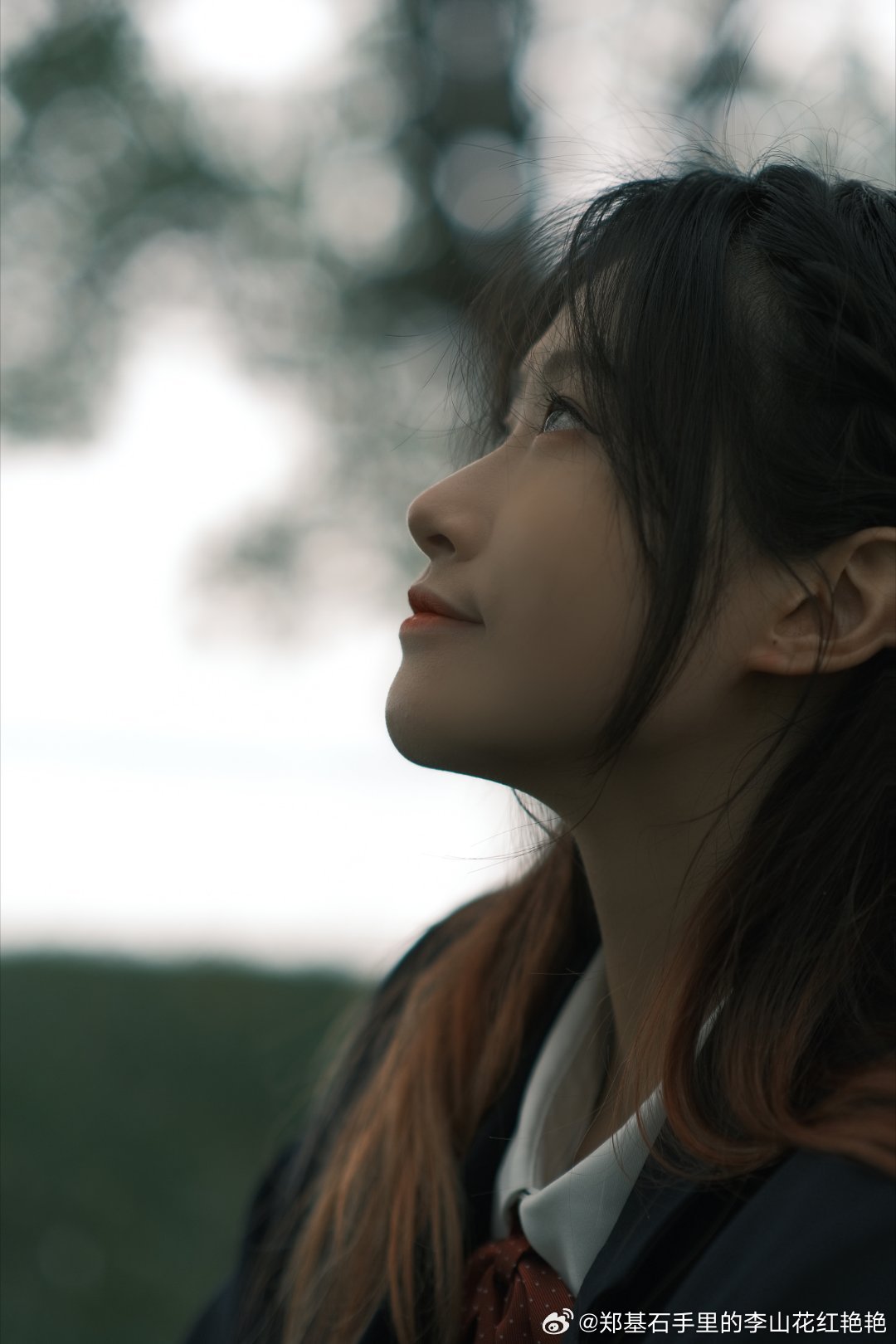 重磅推出,susu77网站最新内容——科技潮流引领,未来生活体验新篇章