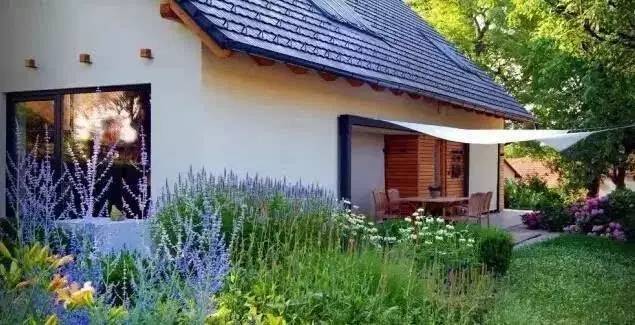 最新乡村庭院,最新乡村庭院,小巷深处的绿意惊喜