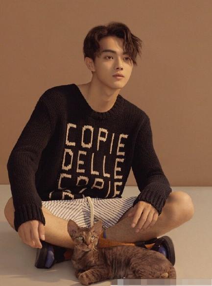 演员王陆的表演艺术之路，迈向成功的详细指南