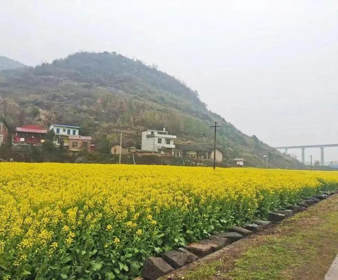 芦江水库最新动态,全面指南
