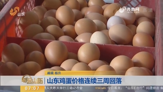 章丘鸡蛋价格行情,科技智能引领新纪元,鸡蛋市场追踪报道
