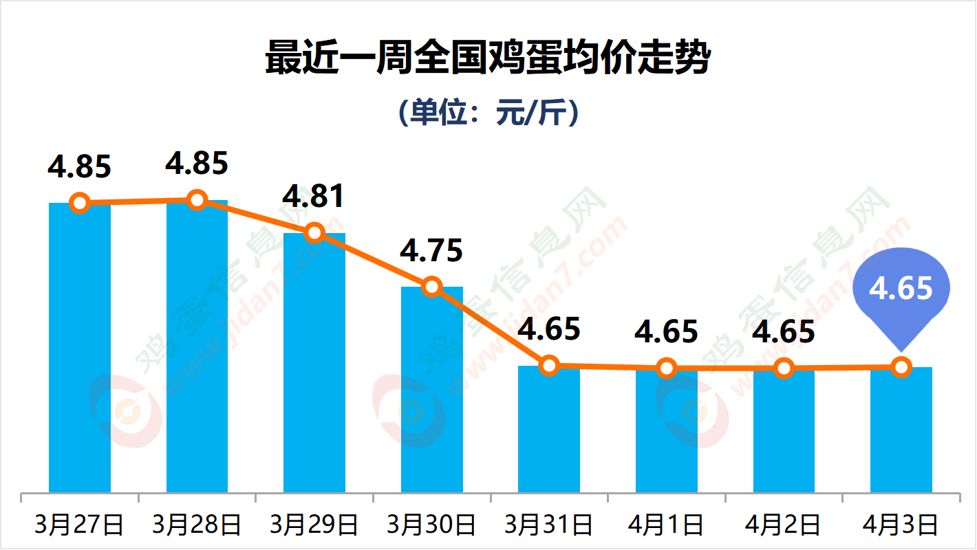 章丘鸡蛋价格行情,科技智能引领新纪元,鸡蛋市场追踪报道