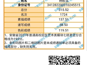 临泉在线职位招聘最新信息及详细步骤指南