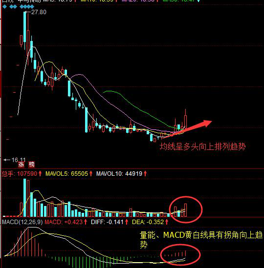 8月股市风云变幻，深度解析行情，金融舞台风起云涌