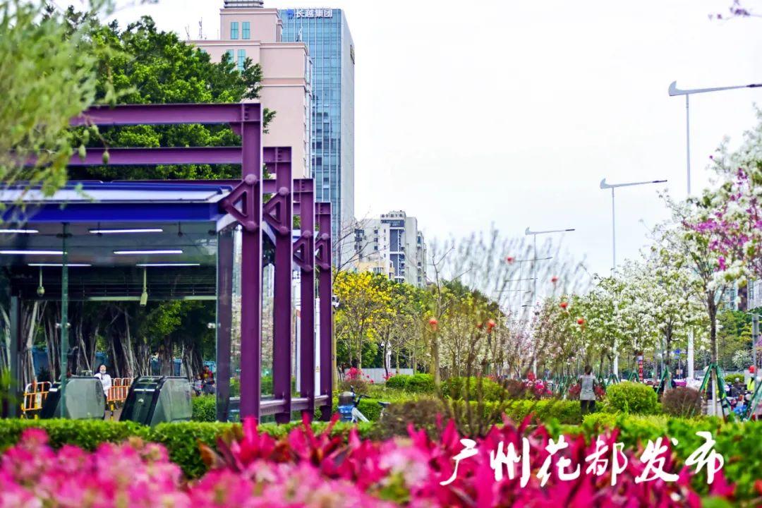 花都九号线最新动态,科技重塑地铁出行体验