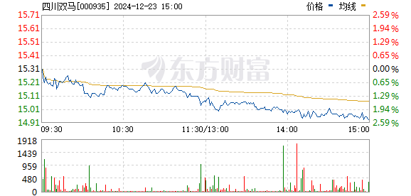四川双马股票投资全攻略指南