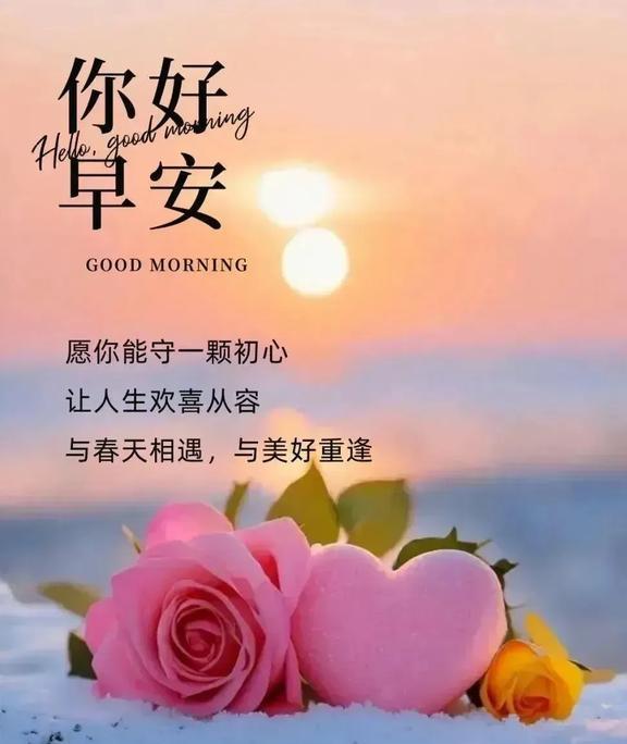 最新早安问候,最新早安问候🌞阳光洒满希望的小径