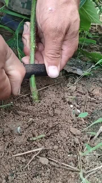 科技重塑生活，未来智能新品嫁接体验的未来趋势