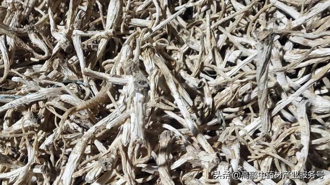 药材市场价格的最新动态分析