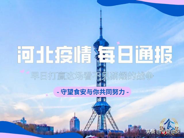河北疫情最新动态,河北疫情最新动态，巷弄深处的抗疫风景与一家独特小店的故事