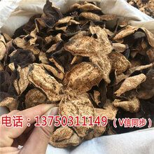 新会陈皮,心灵之旅与价格之谜