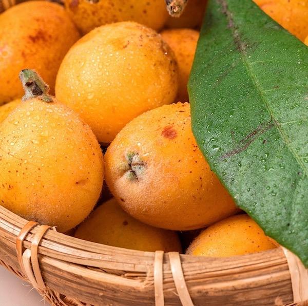 初夏的枇杷盛宴，甜蜜记忆与产业兴旺