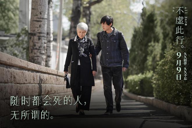 不虚此行电影,视觉与情感的完美融合盛宴