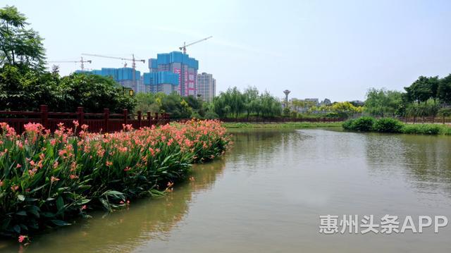 惠州望江沥最新动态，任务指南与技能学习全解析