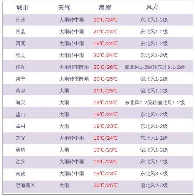 沧州城市等级最新排名揭秘,探寻潜力之城的崛起之路