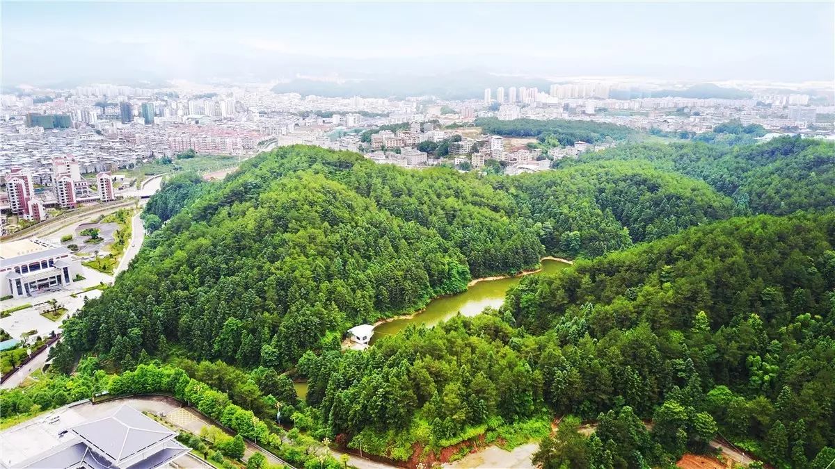 武平森林公园规划选址,自然美景的探索之旅启动
