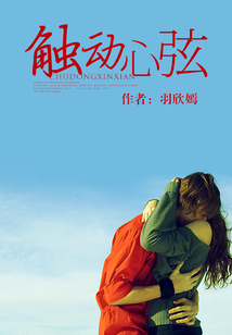 最新感人心弦作品,情感共鸣与艺术的完美融合