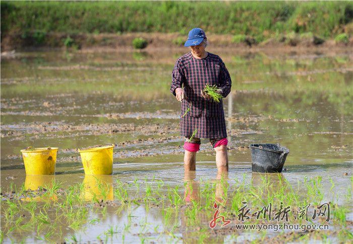 湖南永州道县励志资讯，学习成就自信与梦想，励志之光照亮未来新篇章