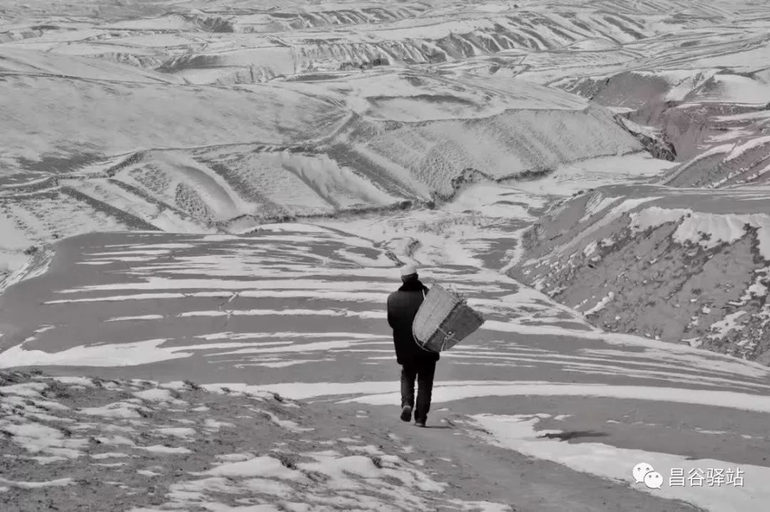 疫情最新动态观察与某某观点探析，疫情下的深度思考