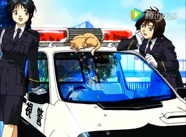 最新逮捕令,法律之剑正在行动