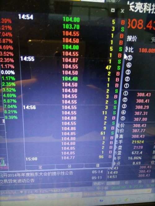 关于S股票的深度解析,意义、观点与探讨