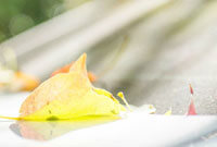 吸烟动漫图片制作指南，步骤与技巧揭秘