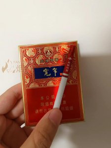 宽窄烟价格概览,市场走势与消费洞察分析
