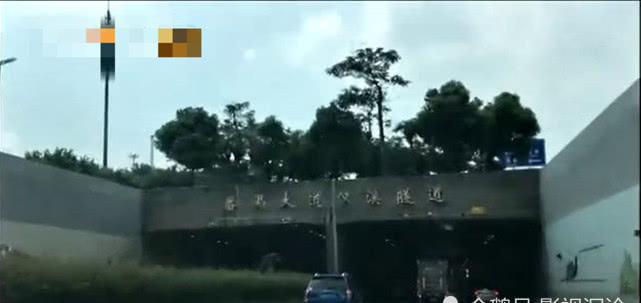 广州番禺车祸最新报道与小巷独特小店揭秘