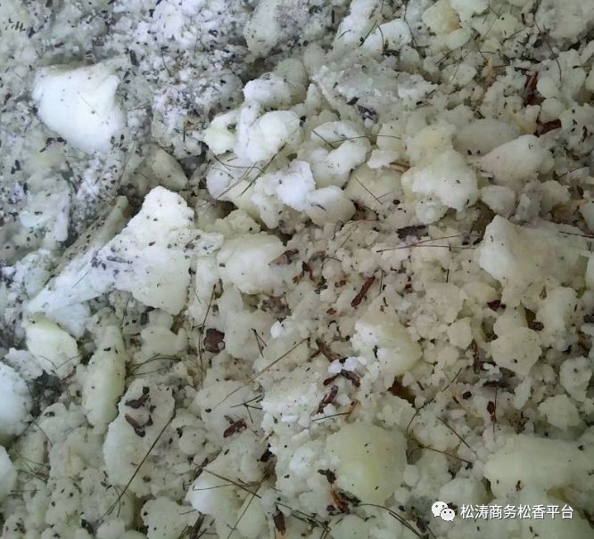 松脂价格行情详解，学习成长之路与成就感的源泉