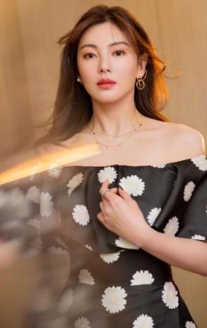 张雨绮电视剧之旅，荧屏之光的璀璨历程