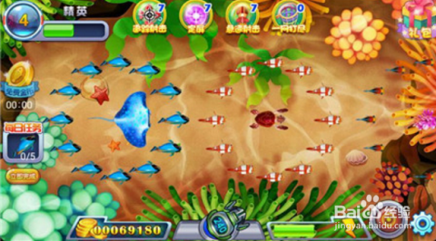 最新捕鱼技术揭秘，乘风破浪的学习之旅开启