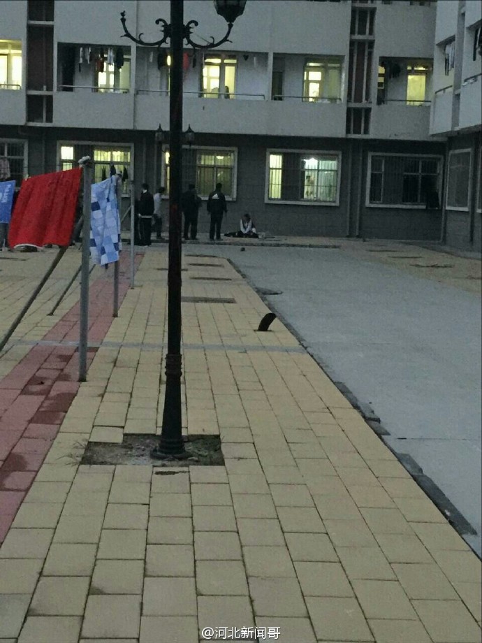 第1182页