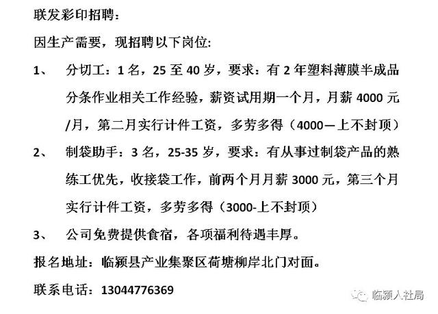 阳谷贴吧最新招聘资讯详解，观点与机会一网打尽