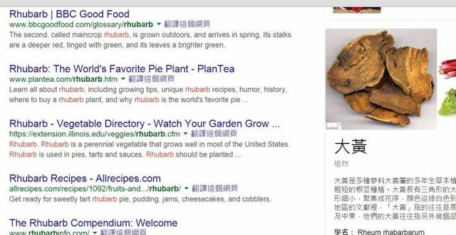 最新大黄网站，一段温馨有趣的日常故事探索