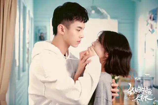 姐弟恋电视剧的魅力,背景、事件深度探讨与地位分析