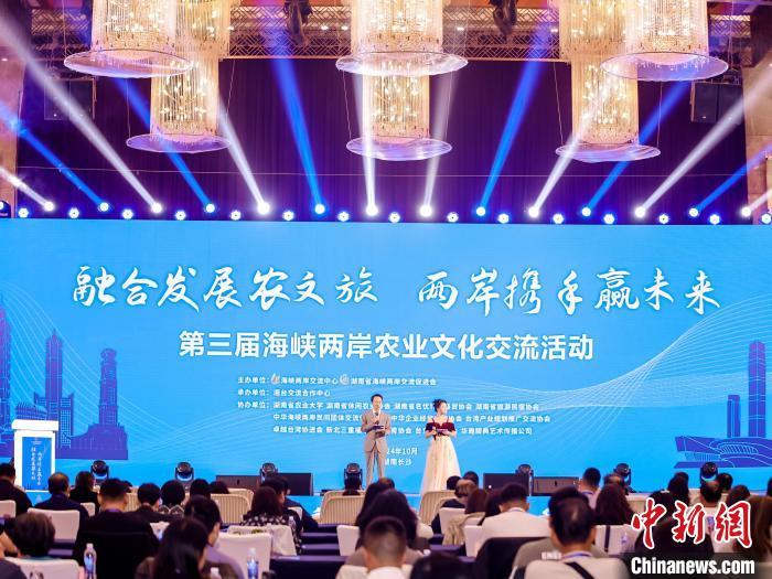 海峡两岸房产市场最新动态视频,市场走势与多方观点深度解析